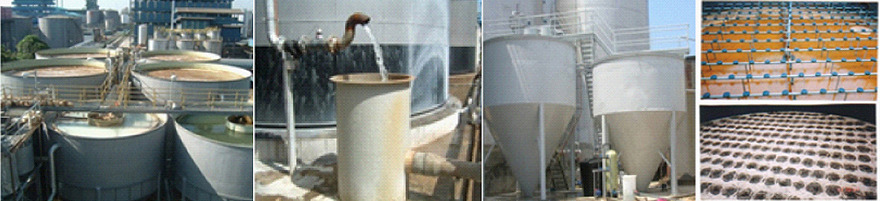Wastewater Treatment Plant